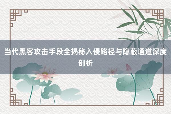 当代黑客攻击手段全揭秘入侵路径与隐蔽通道深度剖析