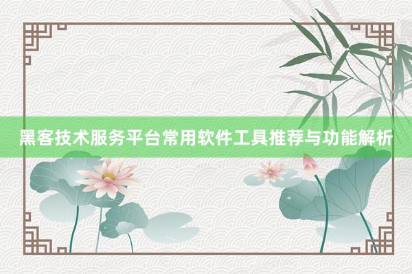 黑客技术服务平台常用软件工具推荐与功能解析
