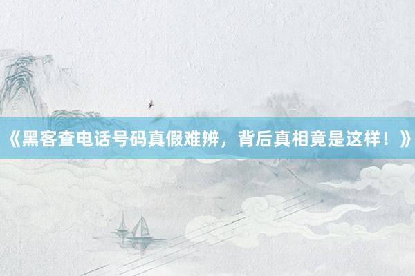 《黑客查电话号码真假难辨，背后真相竟是这样！》